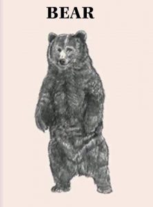 Bear image card for Animal 4d app