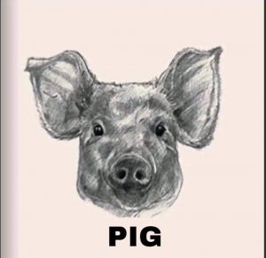 Pig Image for Animal 4D+ app